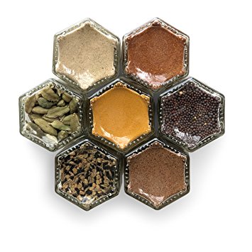 INDIAN | Seven Organic Indian Seasonings in Gneiss Spice Small Magnetic Jars | Cooking Gift...